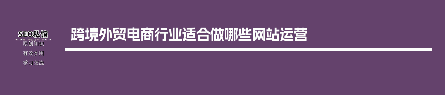 跨境外贸电商行业适合做哪些网站运营