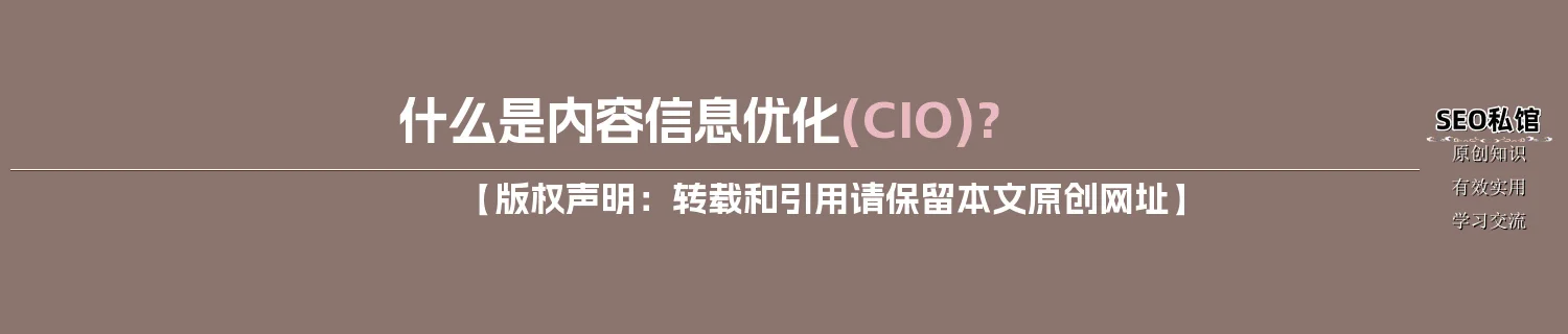 什么是内容信息优化(CIO)? 什么是内容信息优化(CIO)?