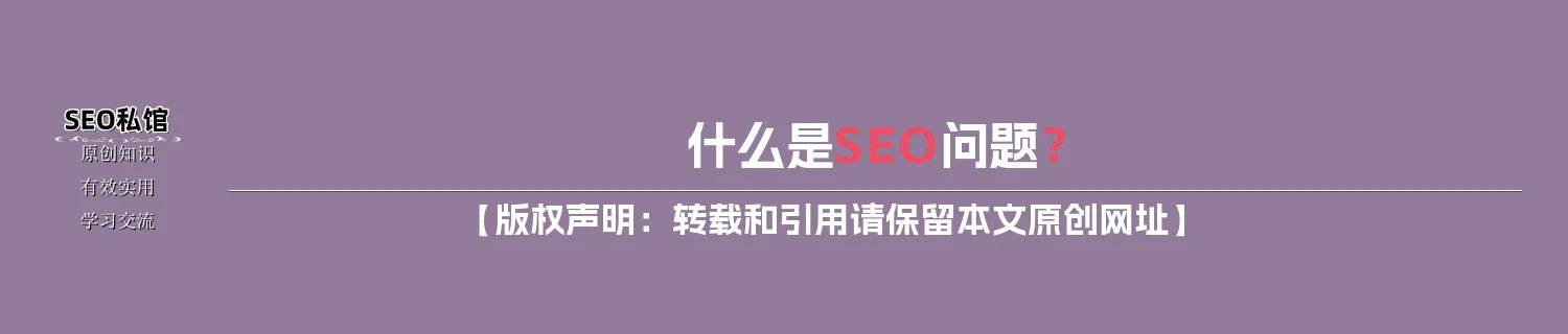 什么是SEO问题？