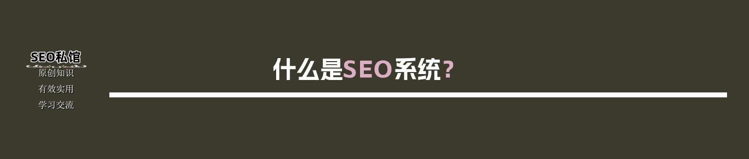 什么是SEO系统？