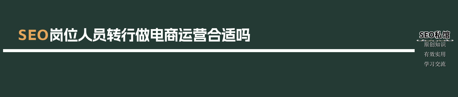 SEO岗位人员转行做电商运营合适吗