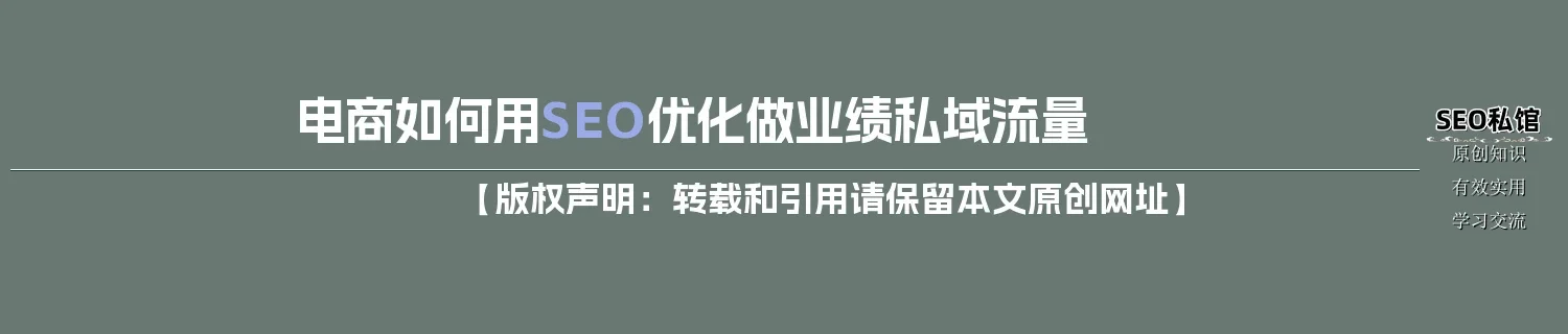 电商如何用SEO优化做业绩私域流量 电商如何用SEO优化做业绩私域流量