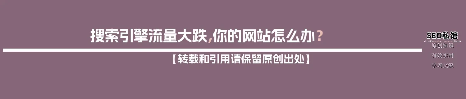 搜索引擎流量大跌，你的网站怎么办？