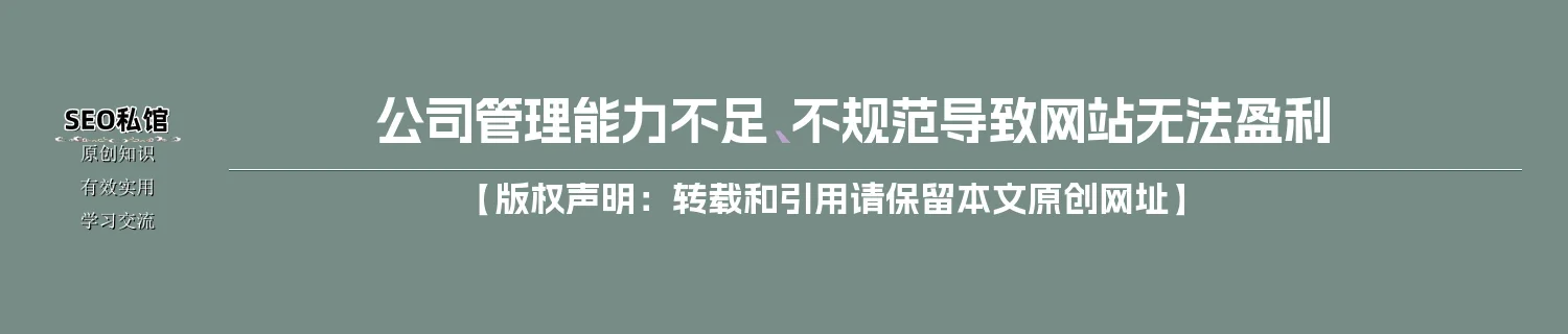 公司管理能力不足、不规范导致网站无法盈利