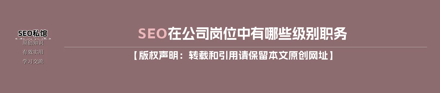 SEO在公司岗位中有哪些级别职务