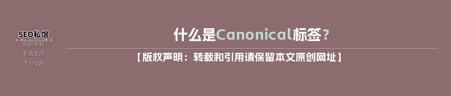 什么是Canonical标签？