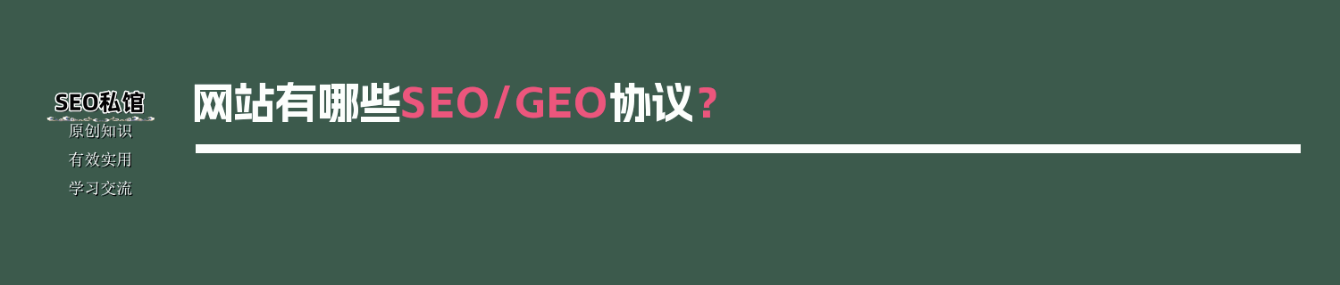 网站有哪些SEO/GEO协议？