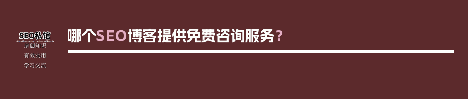哪个SEO博客提供免费咨询服务？