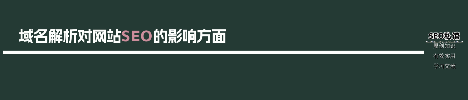 域名解析对网站SEO的影响方面