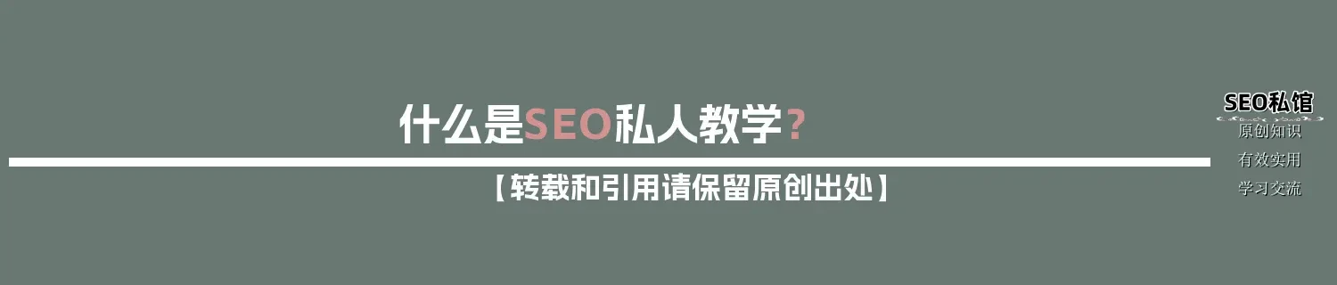 什么是SEO私人教学？