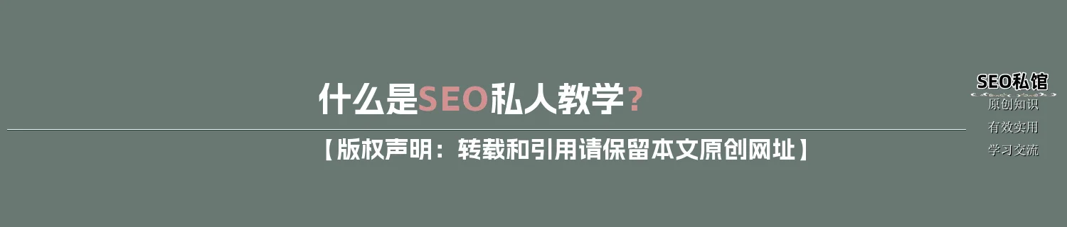 什么是SEO私人教学？