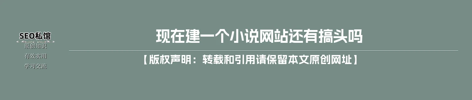 现在建一个小说网站还有搞头吗