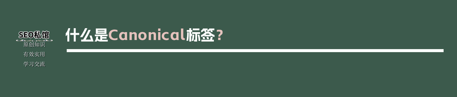 什么是Canonical标签？
