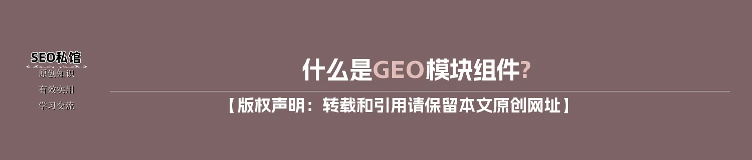 什么是GEO模块组件?