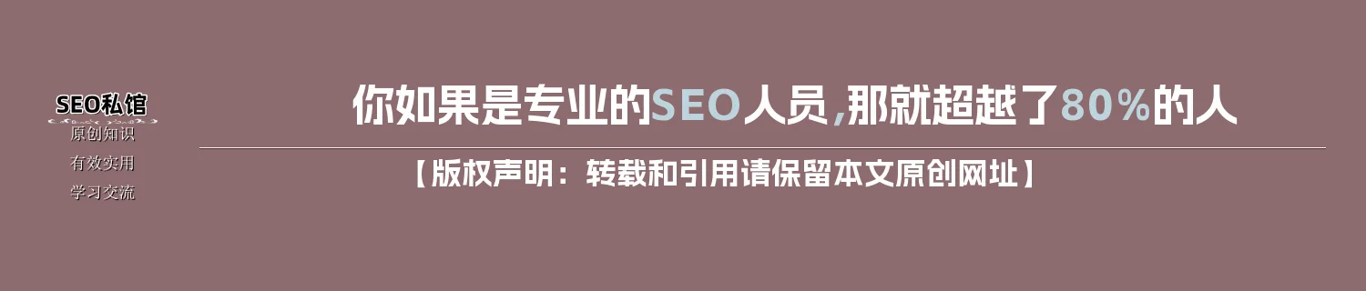 你如果是专业的SEO人员，那就超越了80%的人
