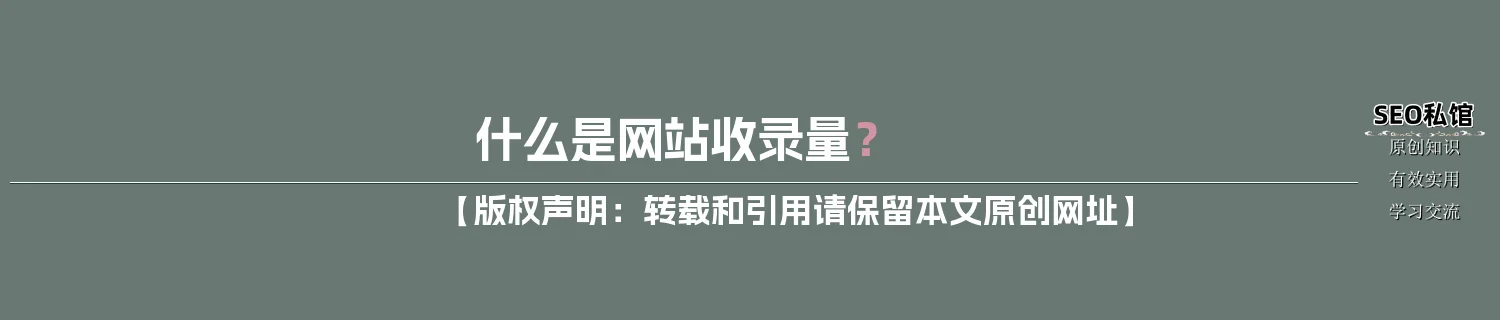 什么是网站收录量？