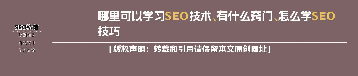 哪里可以学习SEO技术、有什么窍门、怎么学SEO技巧 哪里可以学习SEO技术、有什么窍门、怎么学SEO技巧