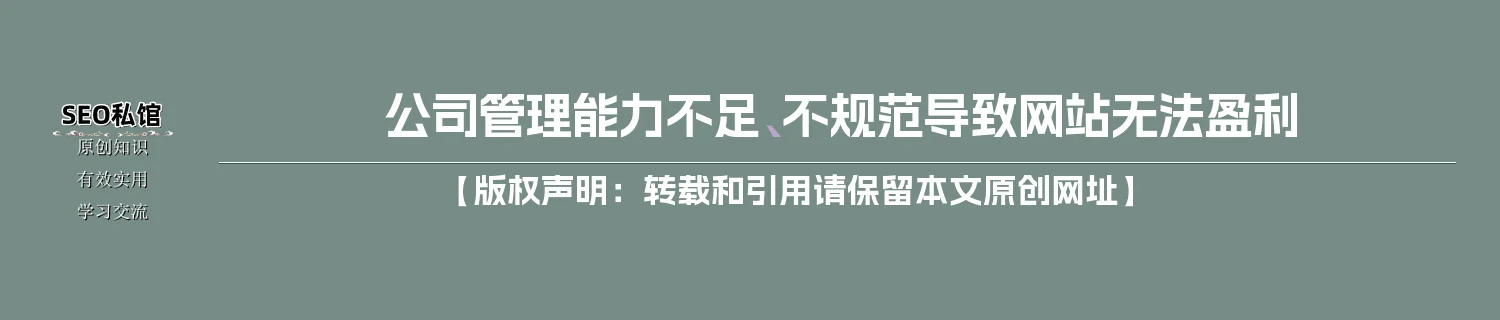公司管理能力不足、不规范导致网站无法盈利