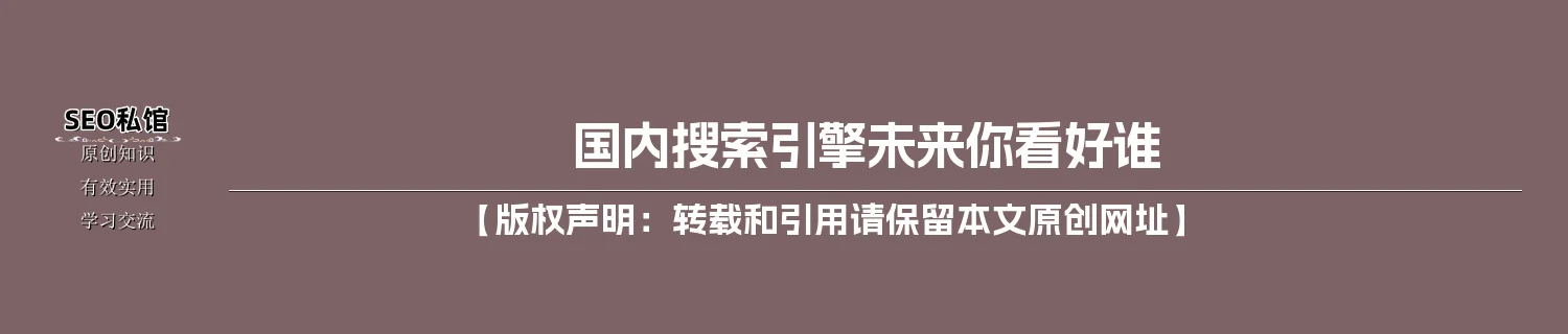 国内搜索引擎未来你看好谁