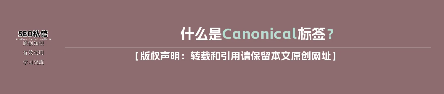 什么是Canonical标签？
