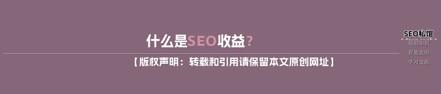 什么是SEO收益？