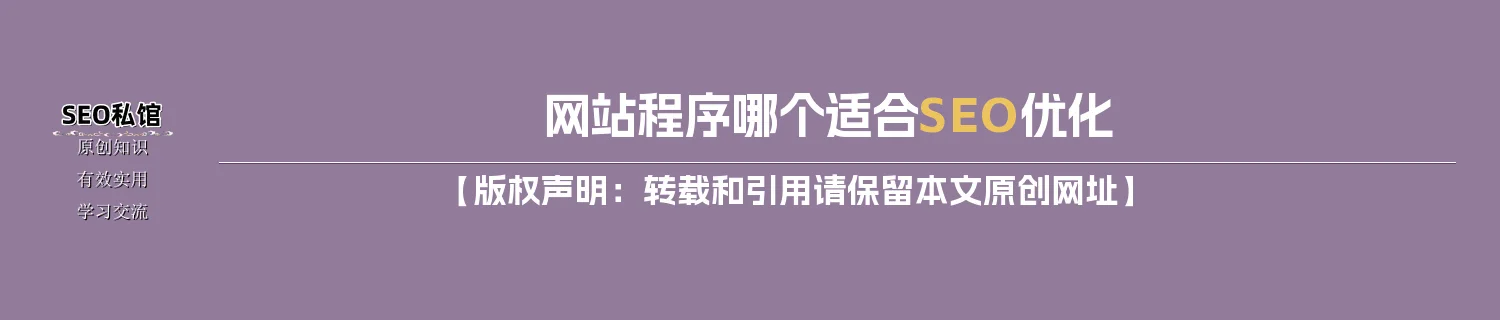 网站程序哪个适合SEO优化
