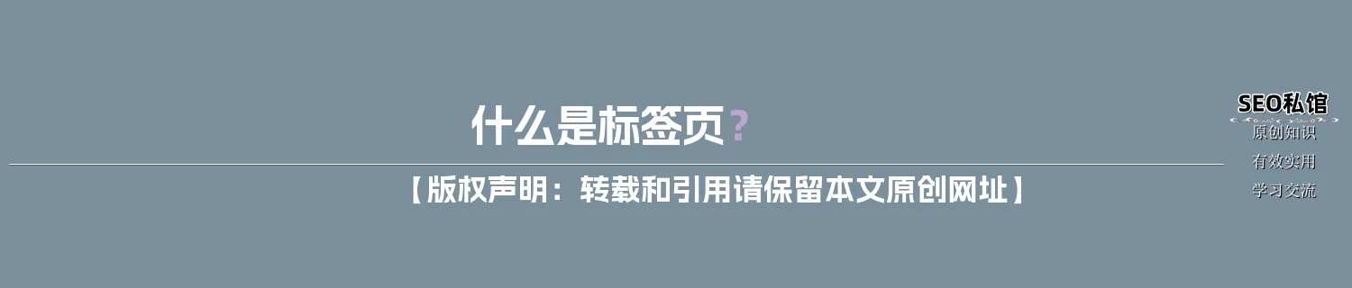 什么是标签页？
