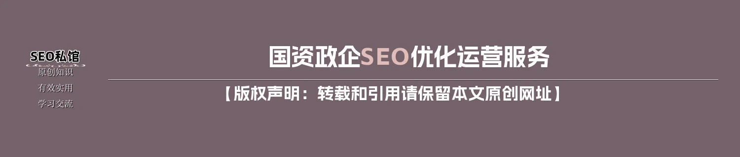 国资政企SEO优化运营服务