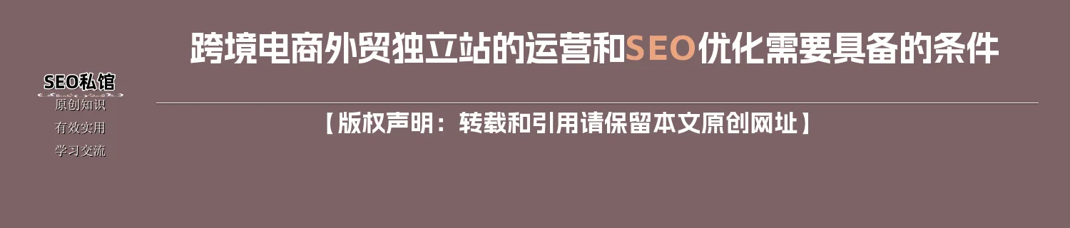 跨境电商外贸独立站的运营和SEO优化需要具备的条件 跨境电商外贸独立站的运营和SEO优化需要具备的条件