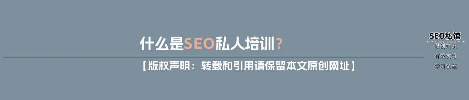 什么是SEO私人培训？