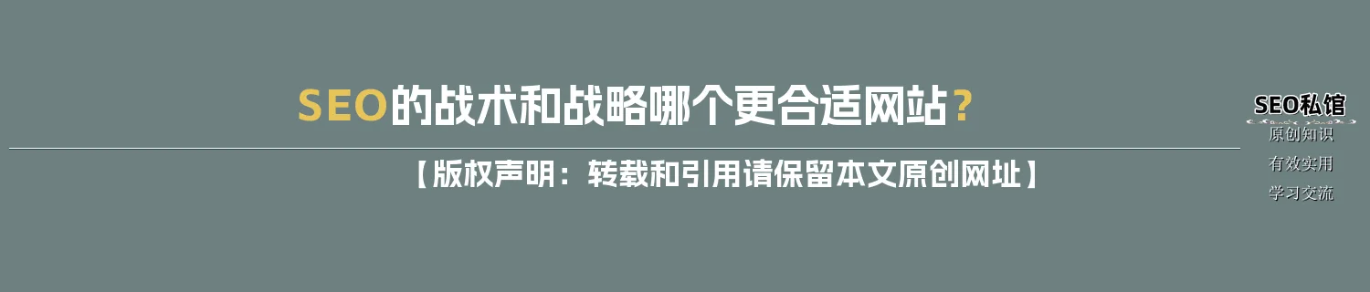 SEO的战术和战略哪个更合适网站？