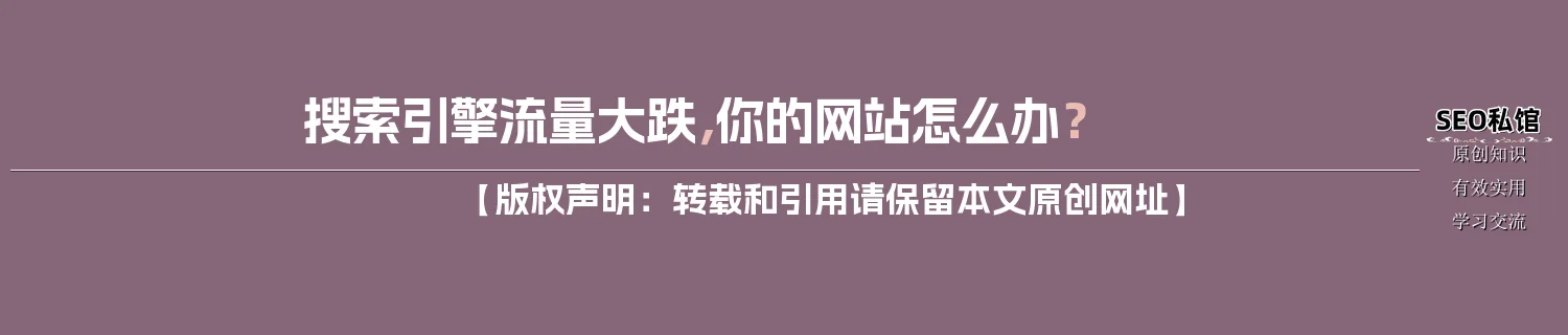 搜索引擎流量大跌，你的网站怎么办？