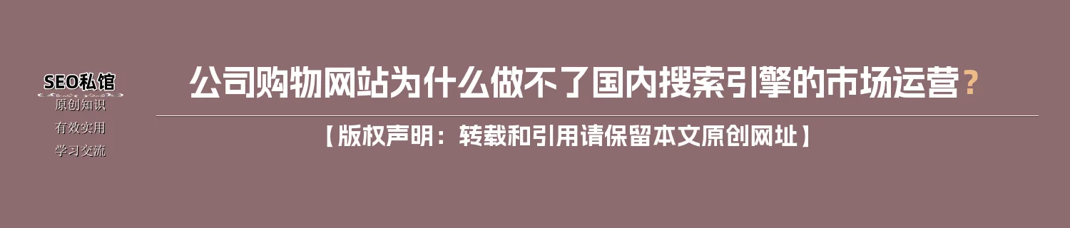 公司购物网站为什么做不了国内搜索引擎的市场运营？