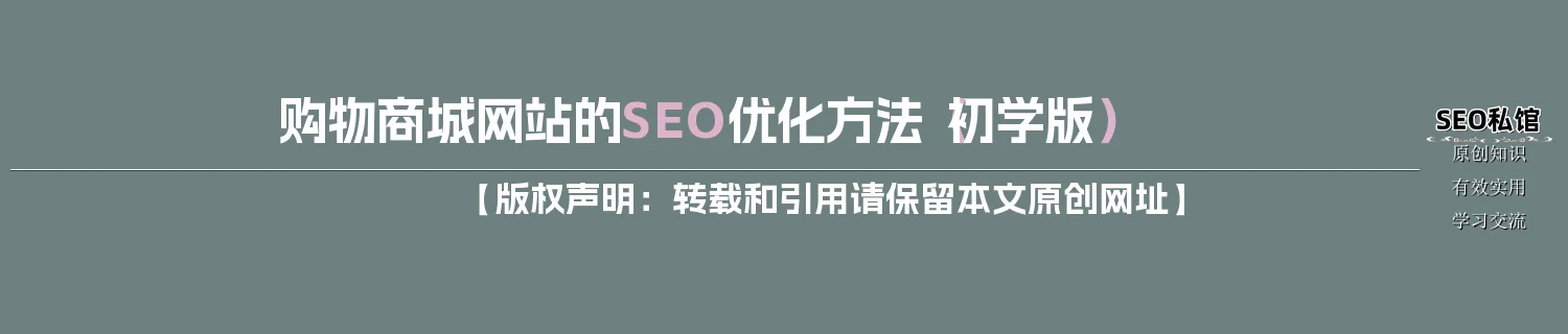 购物商城网站的SEO优化方法（初学版）