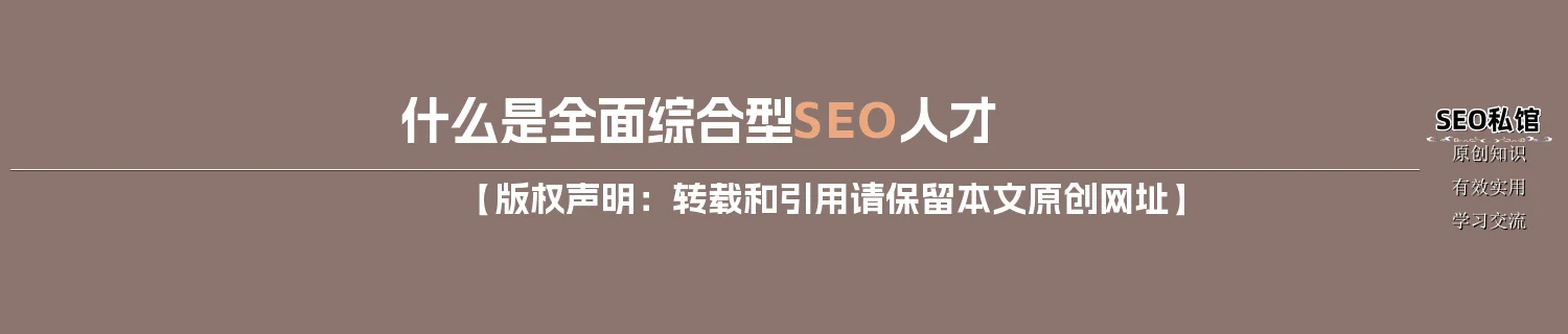 什么是全面综合型SEO人才