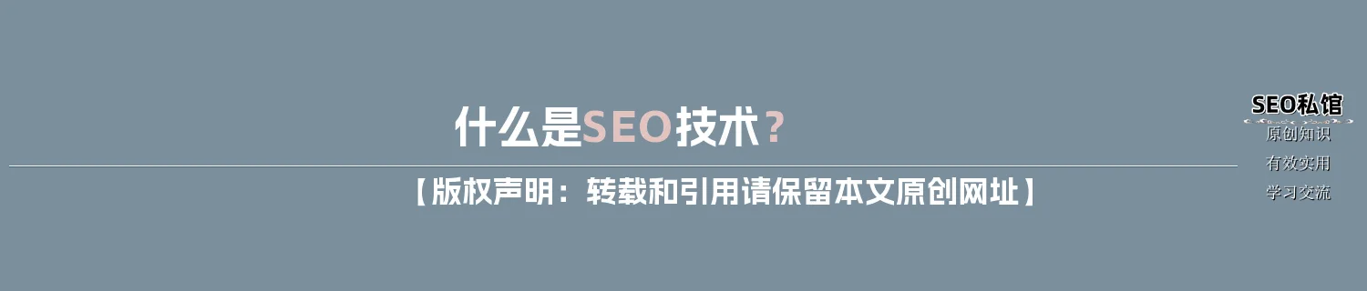 什么是SEO技术？