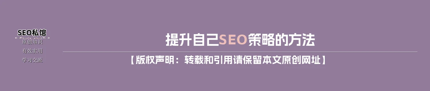 提升自己SEO策略的方法