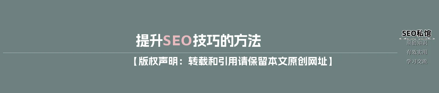 提升SEO技巧的方法