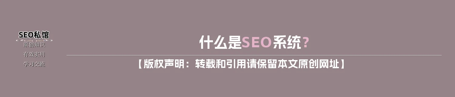 什么是SEO系统？