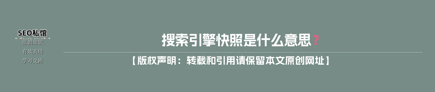 搜索引擎快照是什么意思？
