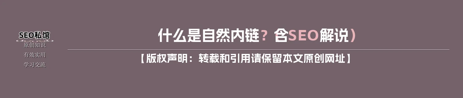 什么是自然内链？（含SEO解说）