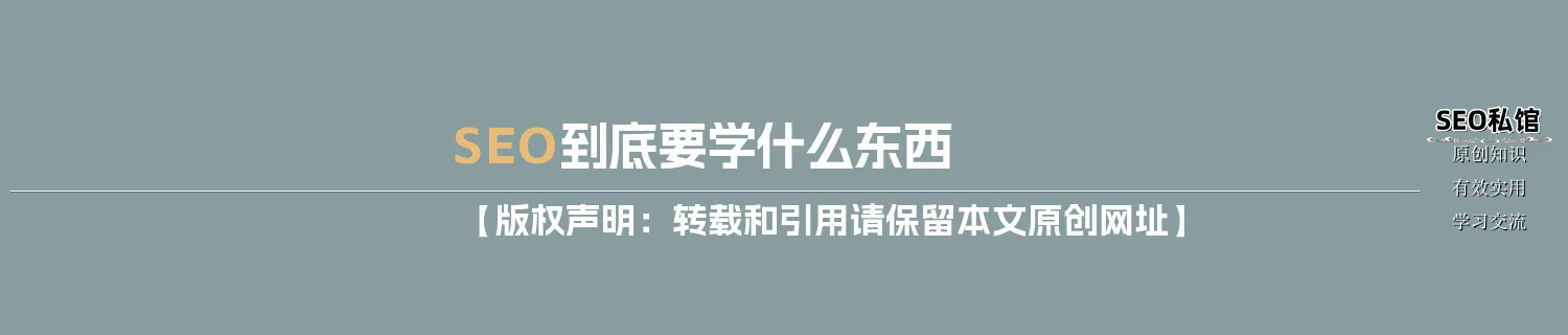 SEO到底要学什么东西