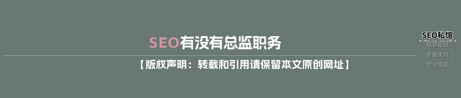 SEO有没有总监职务
