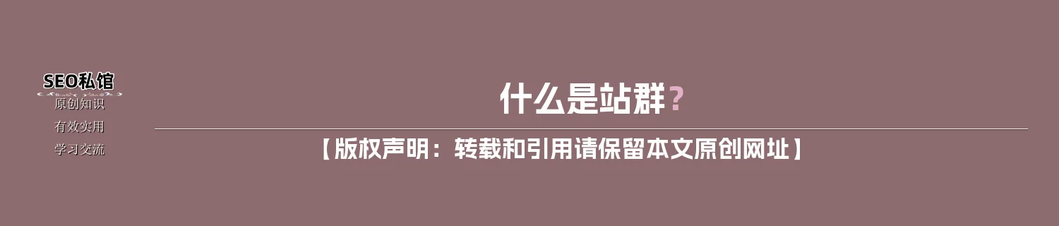 什么是站群？