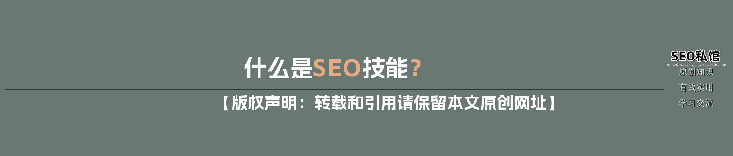 什么是SEO技能？