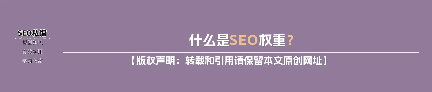 什么是SEO权重？