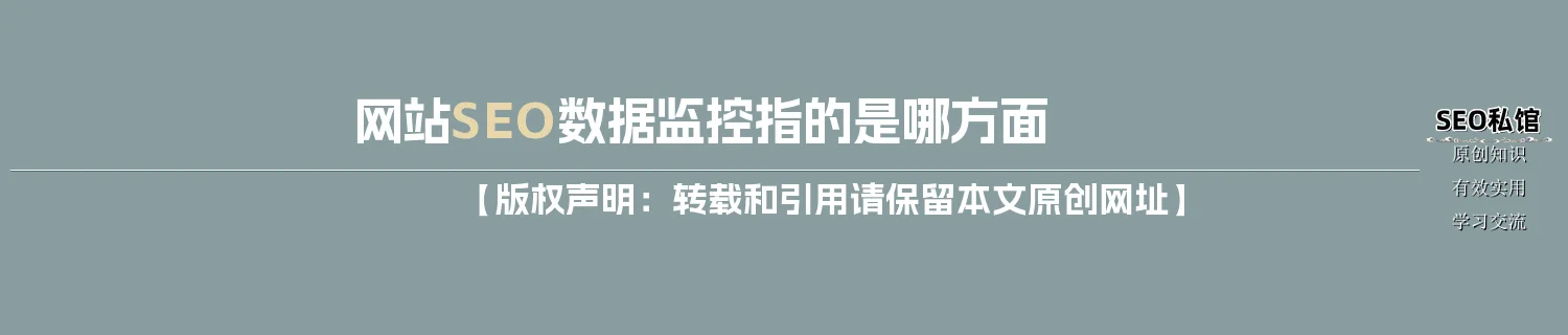 网站SEO数据监控指的是哪方面