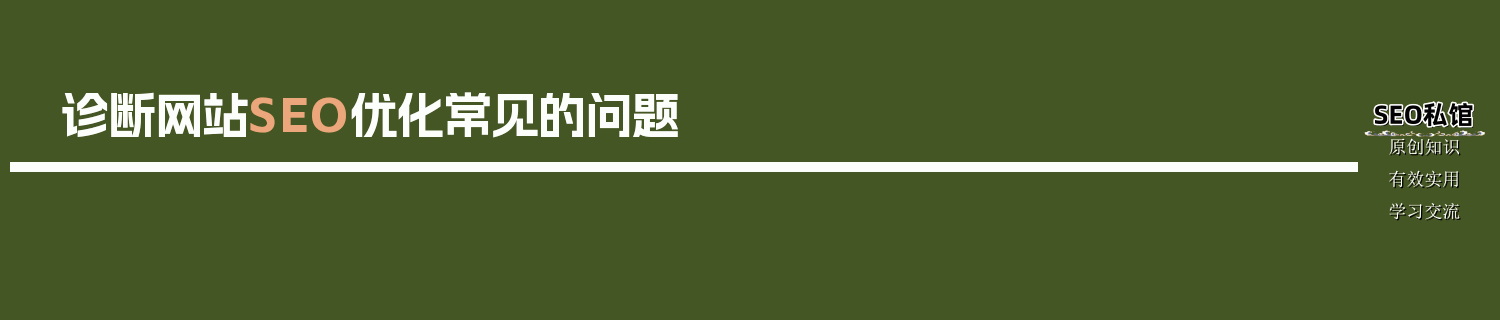 诊断网站SEO优化常见的问题