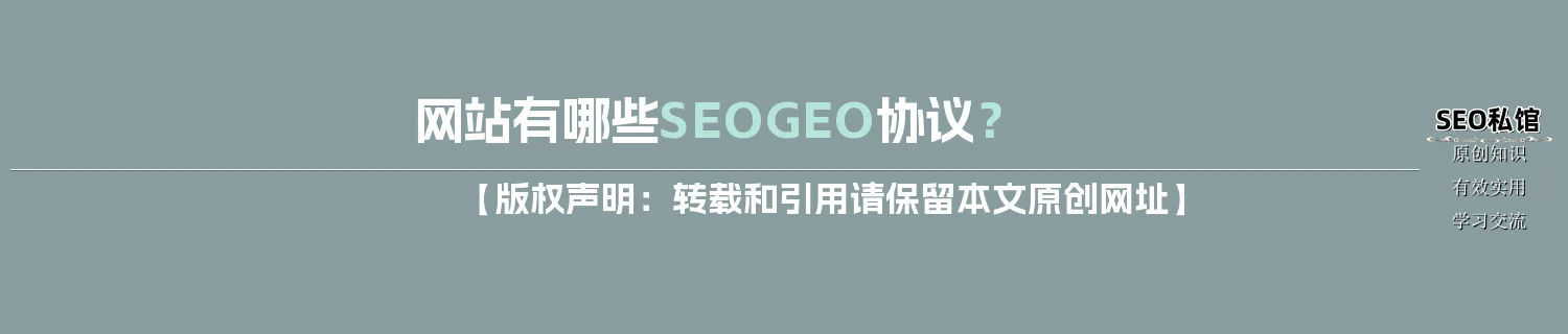 网站有哪些SEO/GEO协议？