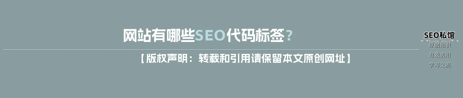 网站有哪些SEO代码标签？